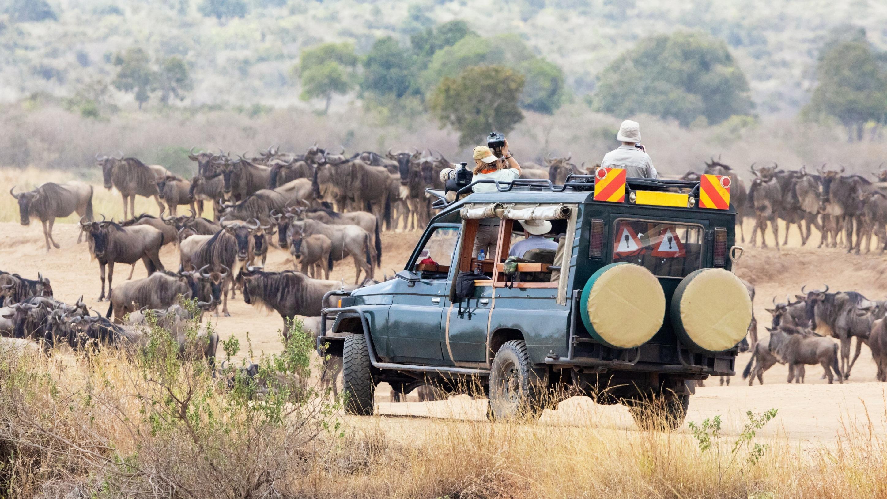 5 Days Serengeti, Tarangire & Ngorongoro adventure