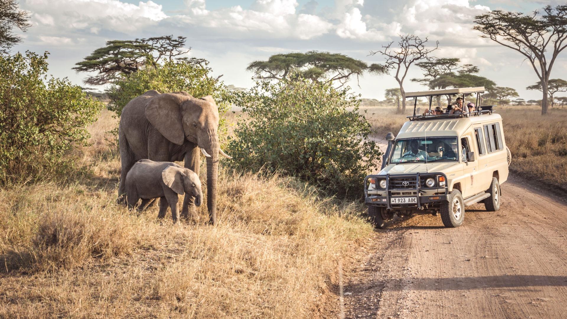 Big 5 Tanzania Adventure Safari