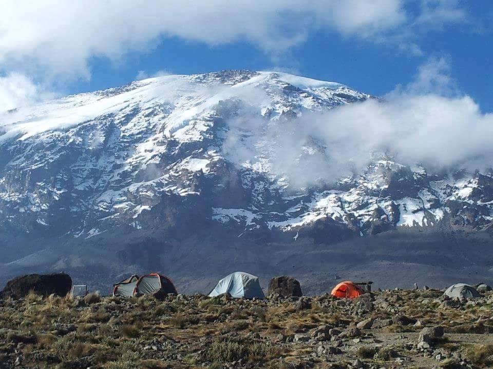 Kilimanjaro 7 day Machame route and African Safari