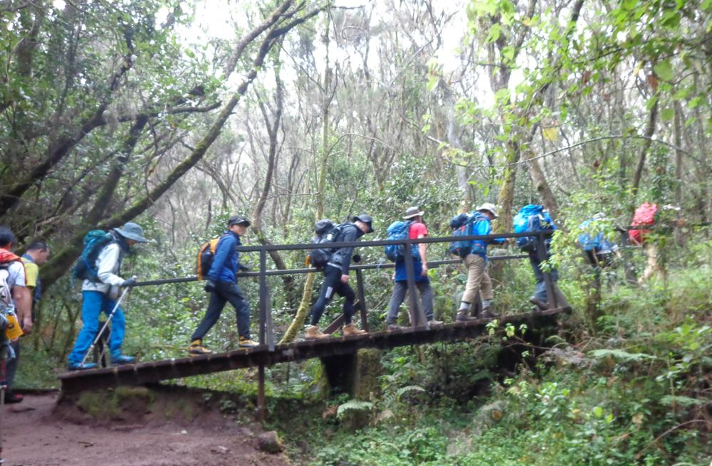 5 Days Kilimanjaro Climbing Marangu Route