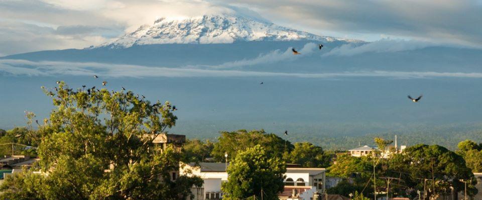 Trekking  Kilimanjaro 2 Days to Mandara Huts