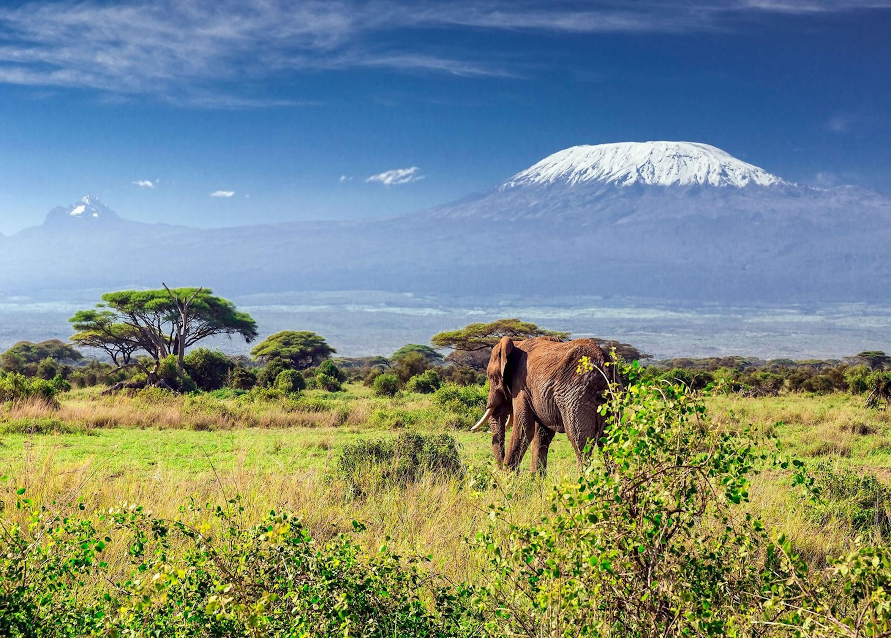 12-day Kilimanjaro Climb w/ Safari & Zanzibar