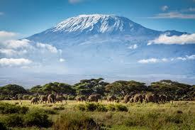 Lemosho Route 7 Day Kilimanjaro