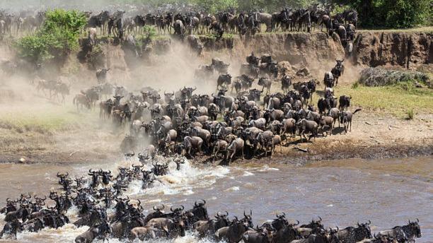 5 Days Tanzania Serengeti Migration Safari