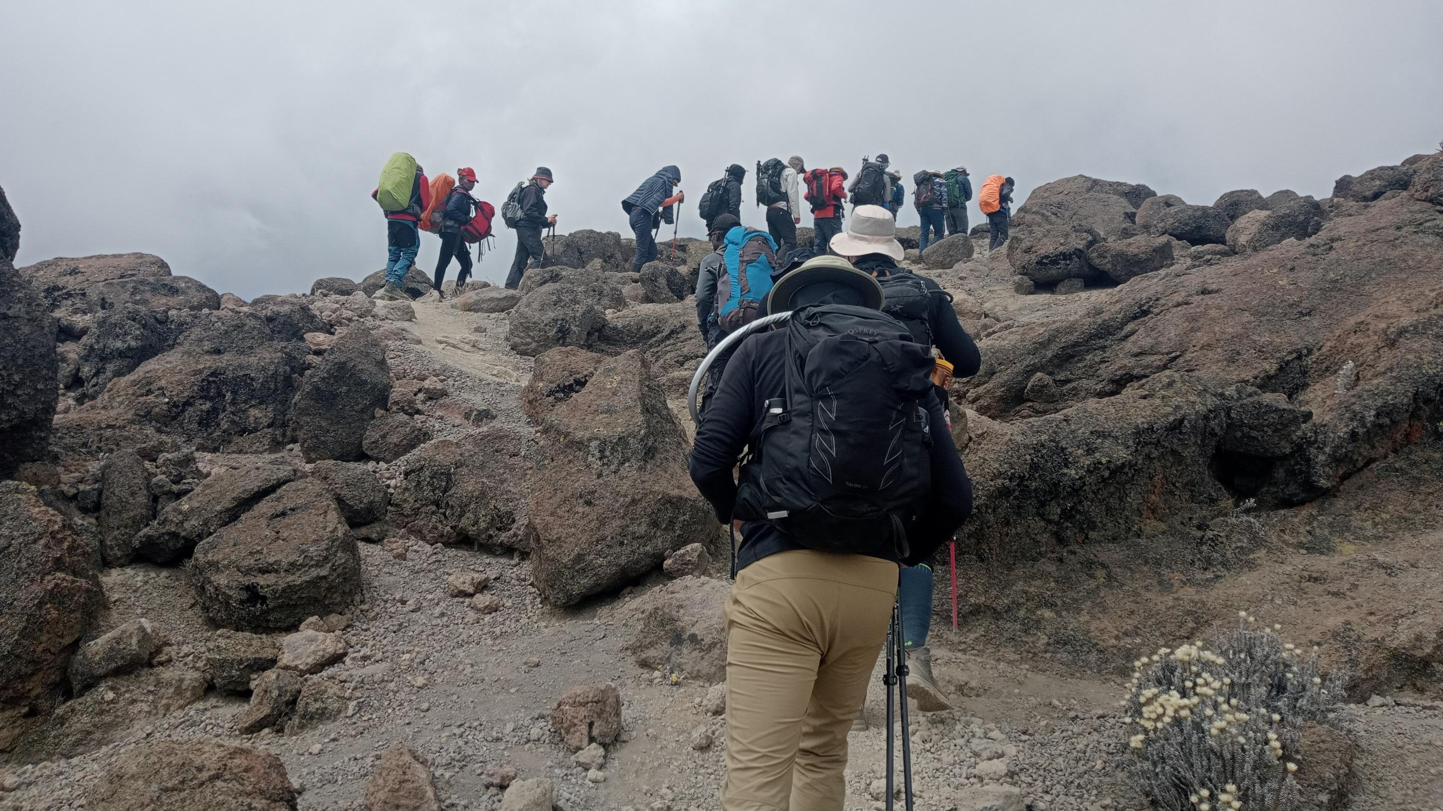 Expedition to Kilimanjaro: 8-day Lemosho route