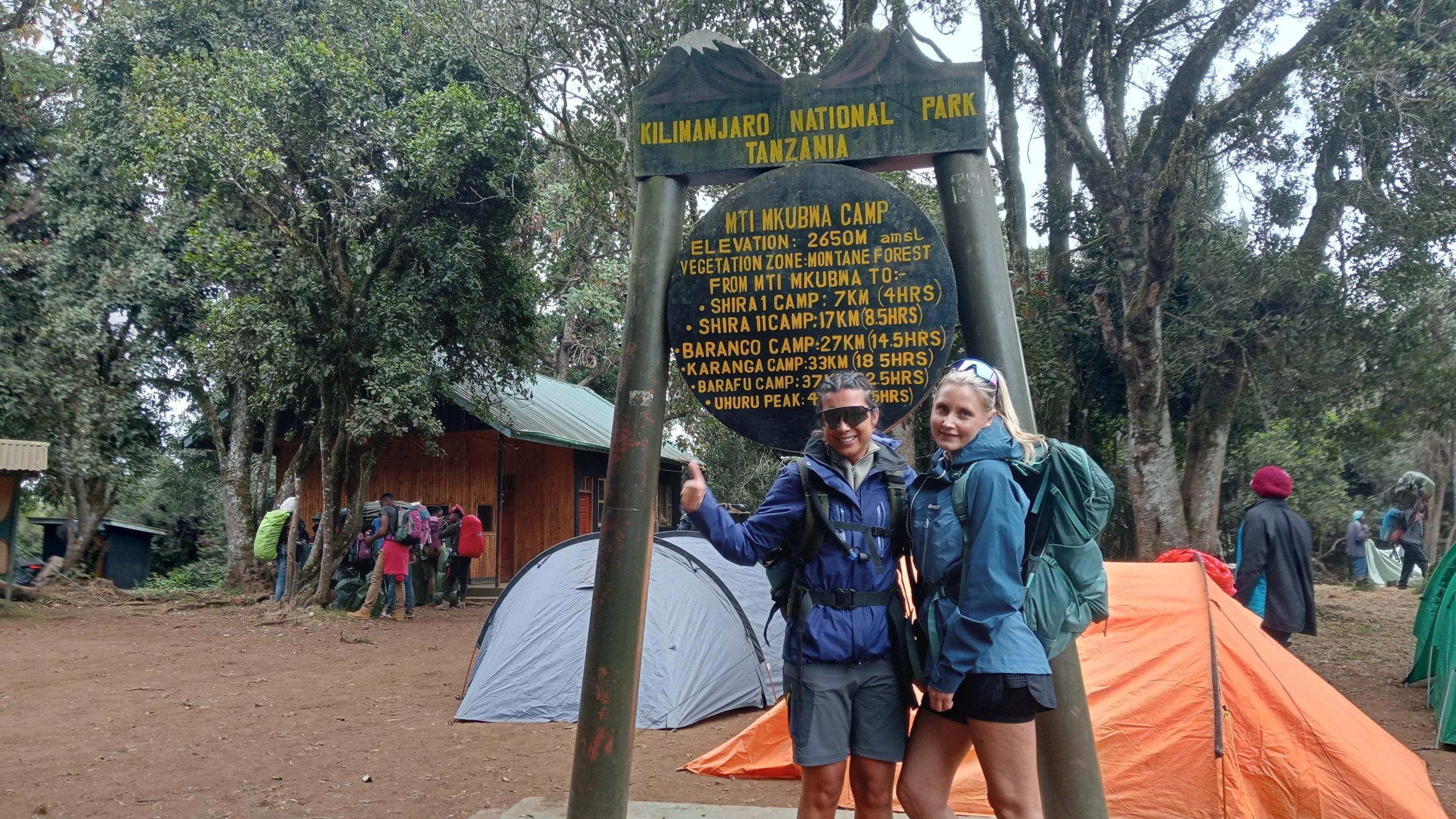 Lemosho Route: 7 Days of Kilimanjaro Mountain Trek