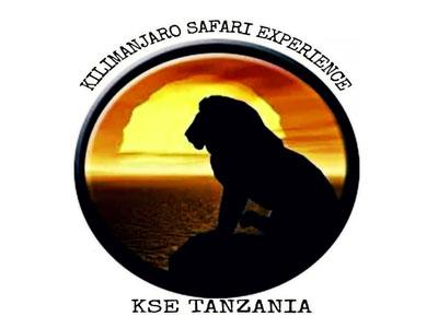 Kilimanjaro Safari Experience