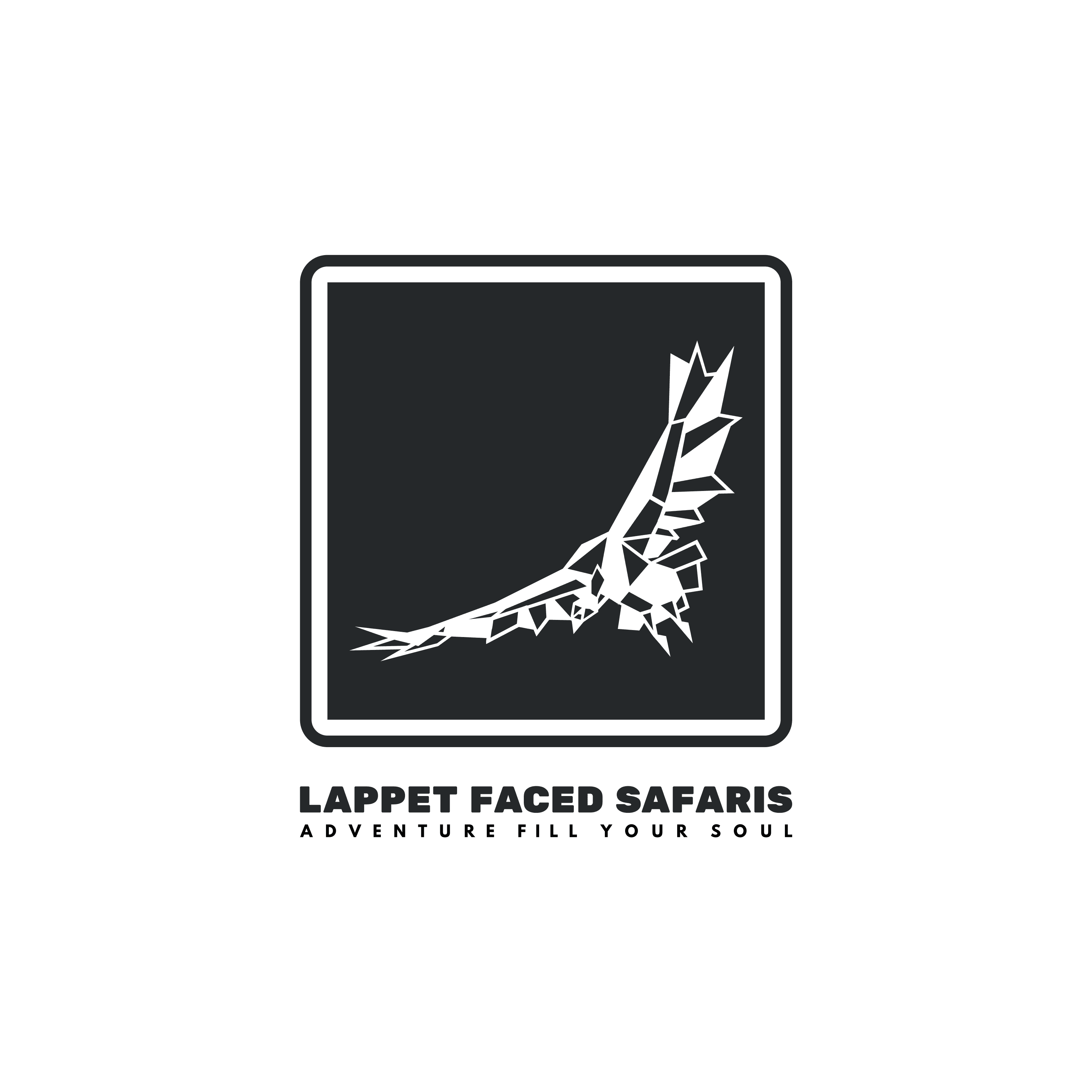 Lappet Faced Safaris Limited
