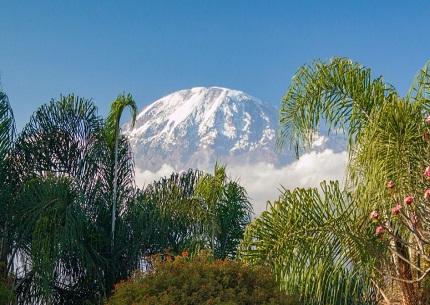 Mount Kilimanjaro 7 Days Trek Machame Route