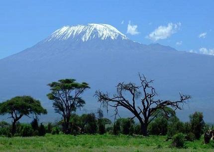 Mount Kilimanjaro 7 Days Trek Lemosho Route