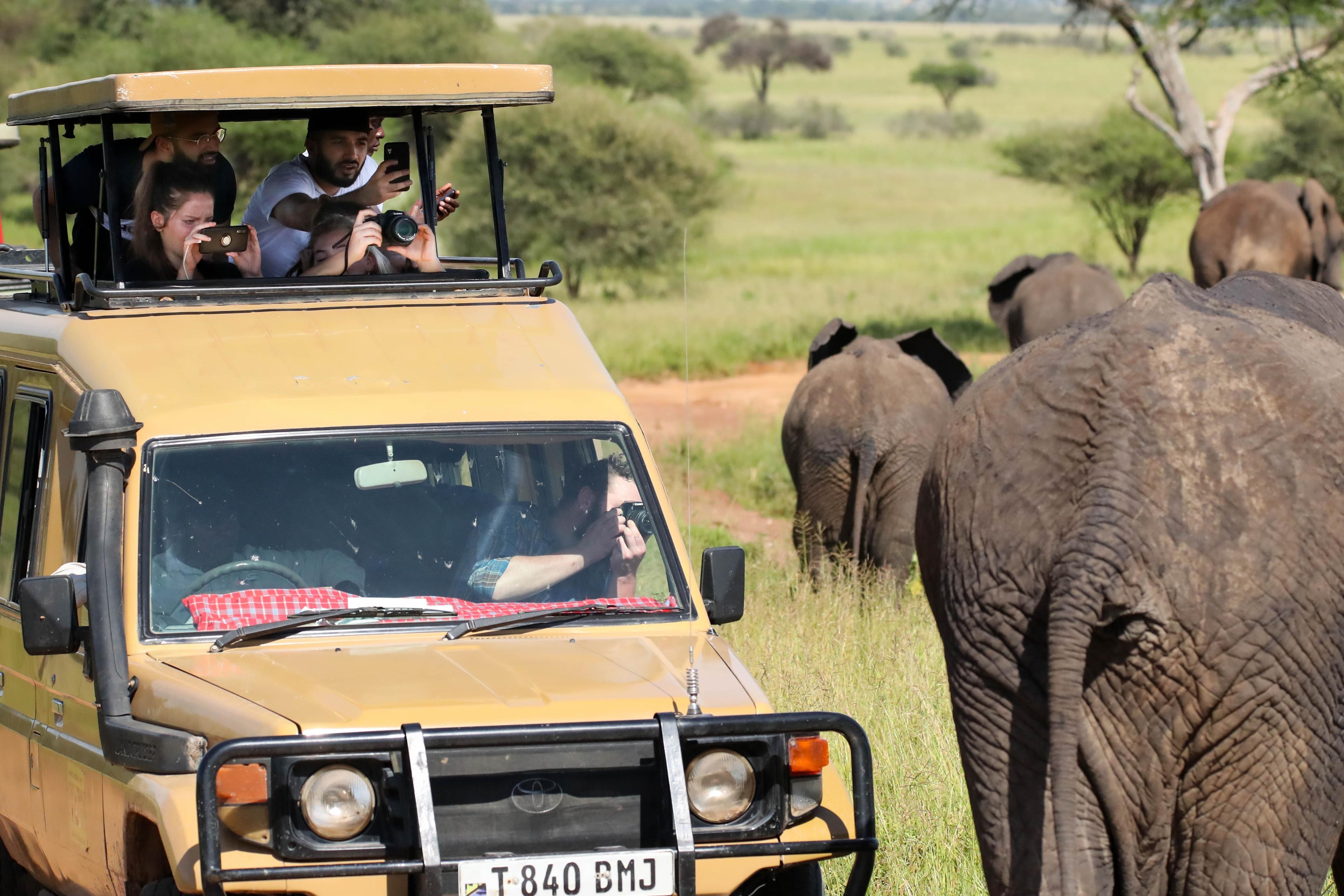 3 Days Private/Luxury Tanzania Safari