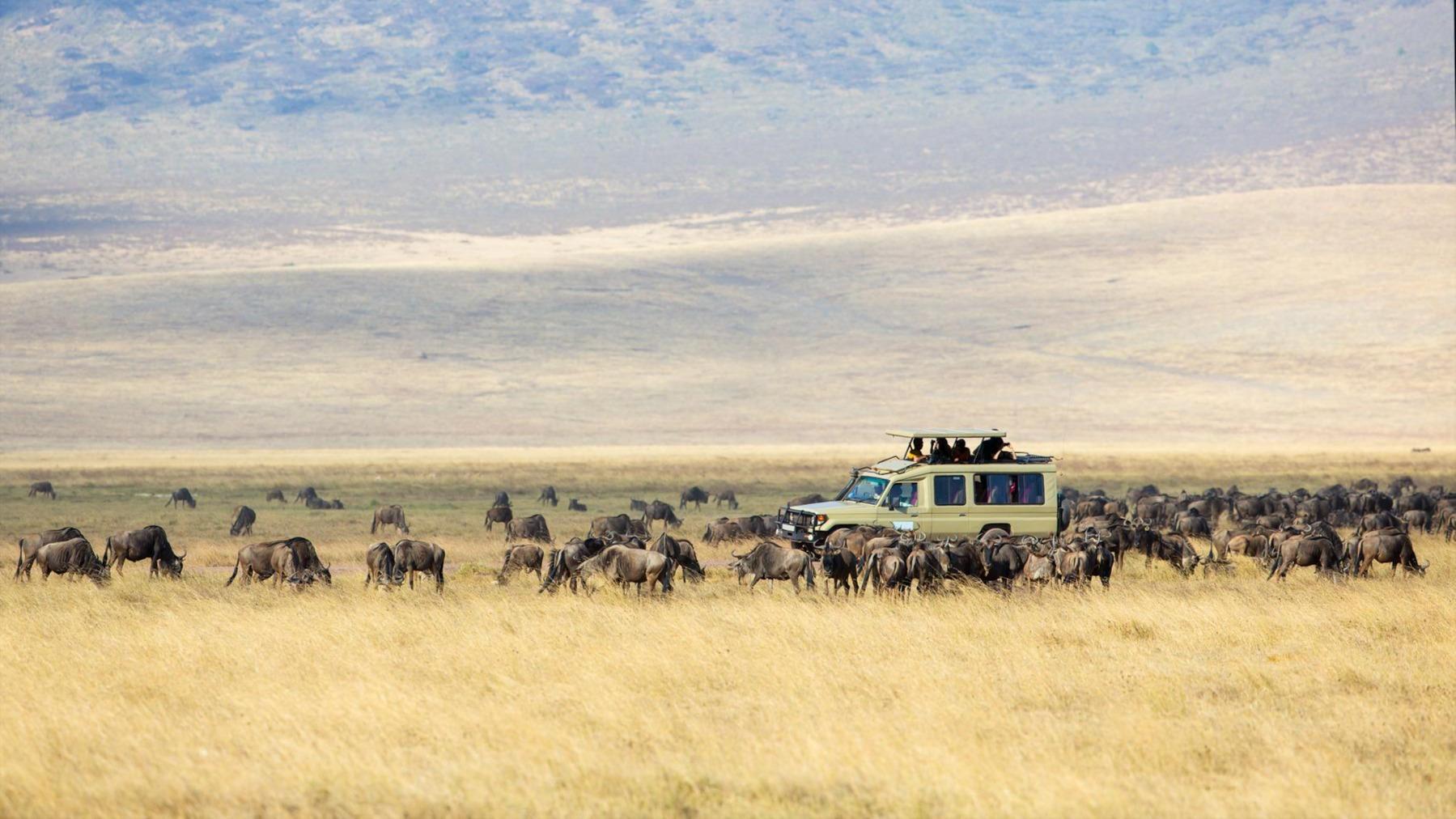 Great Migration Tanzania Adventure Safari