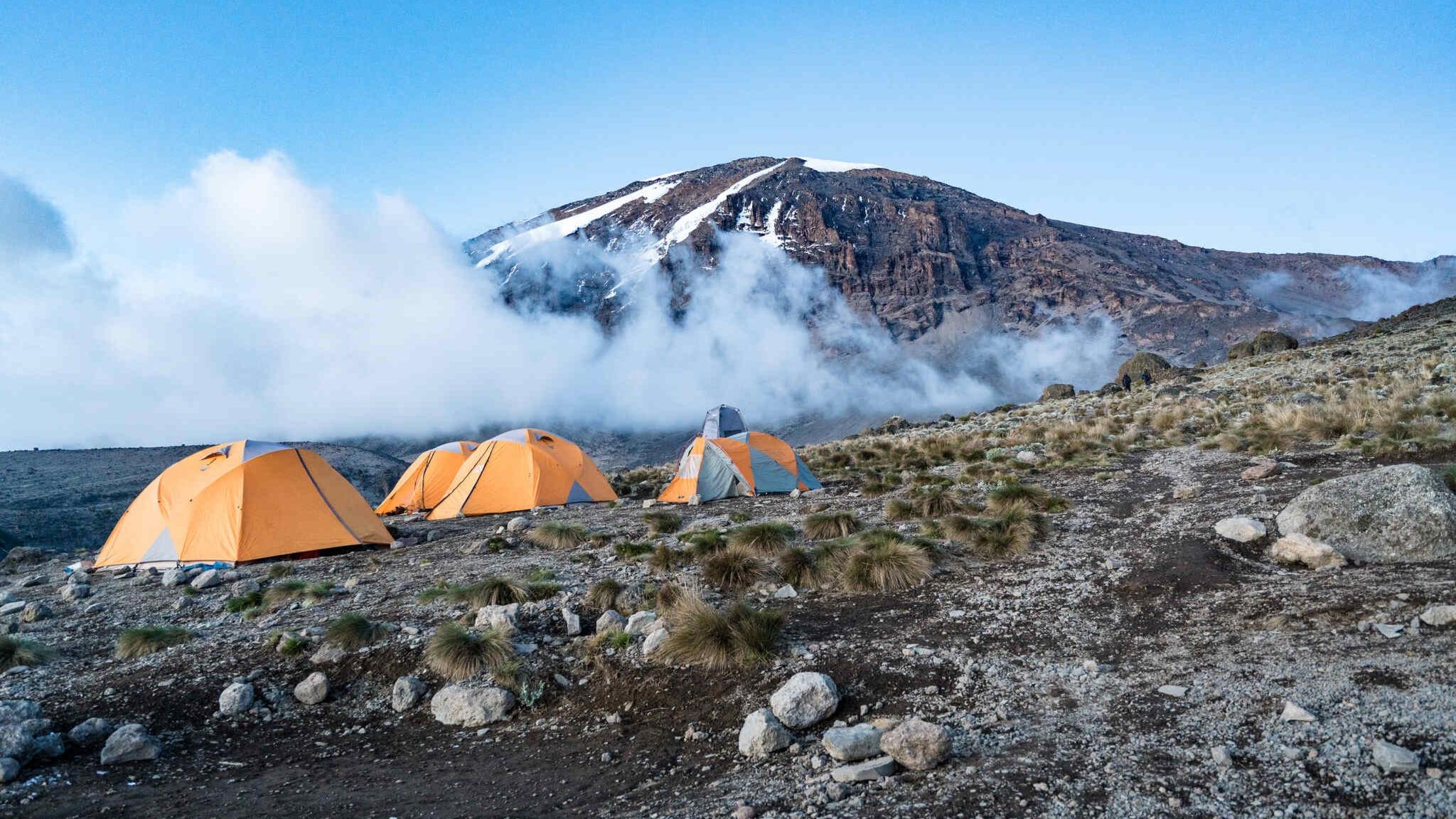 Kilimanjaro Marathon 2024, Treks Mt. Kilimanjaro