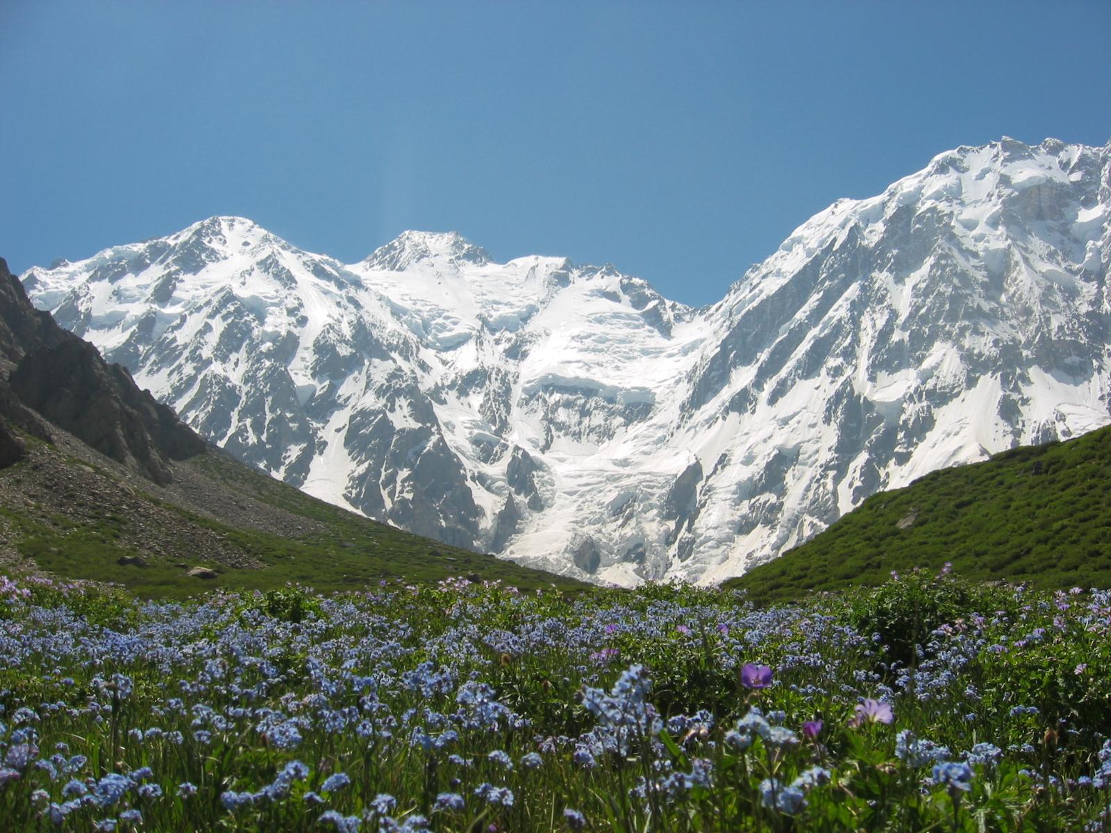 Expedition Nanga Parbat Rupal Face 8126m